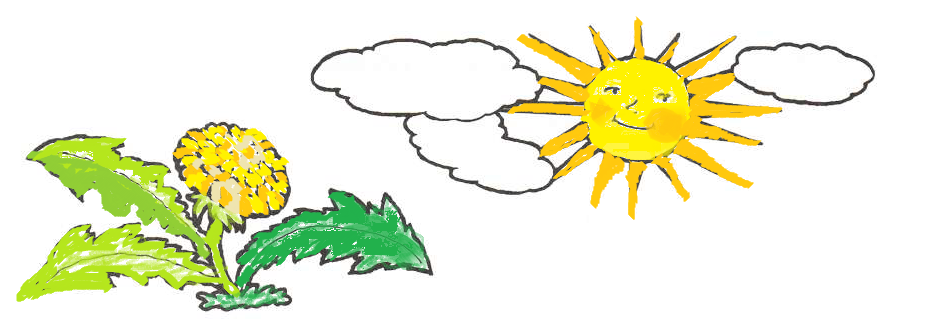 О и высоцкой одуванчик. Рисование одуванчик золотой-маленькое солнышко. Раскрась большое солнце и его маленький портрет одуванчик. Одуванчик маленькое солнышко рисунок для детей. Нарисовать рисунок про Высотская одуванчик.